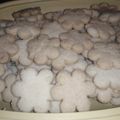 El cooksnap de Anlyu Espinoza cuando hizo Ricas Polvorosas Con Aceite.