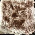 Mónika Kerekes Cooksnap-ja, amikor elkészítette a(z) Gesztenyés süti/ Sütés nélkül receptet.