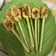 Cooksnap dari Nurani untuk resep Sate lilit