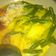 Cooksnap dari anbarsanti untuk resep Ketupat sayur #BikinRamadanBerkesan