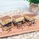 Cooksnap dari Rina Primadha untuk resep Terang Bulan (Martabak Manis) Tefal