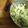 El cooksnap de /María Vergara Olea cuando hizo Ensalada de garbanzos y huevo duro con salsa casera de aguacate.