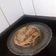 El cooksnap de Romina Giselle Delgado Vera cuando hizo Panqueques.