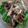 Cooksnap dari veronika untuk resep Ayam Bakar Kari #my diabetic meal