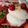 Manisha Malvi Angaitkar's cooksnap of when they made Coconut and suji instant idli.