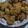 Cooksnap dari Margaretha Silviani untuk resep CUMI CRISPY / CUMI GORENG TEPUNG RENYAH TIDAK ALOT