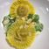 il Monica Baroni Chopin quando ha preparato Raviolo classico con zucca su crema di cavolfiore, zucchine e mandorle