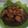 Cooksnap dari Rani untuk resep Ayam Goreng Mentega Hitam Manis