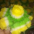 Cooksnap dari Dina Irawati untuk resep Bikang mawar anti gagal🥰tahan lembut seharian