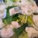 Cooksnap dari Maya Ganda Ratna untuk resep Wonton Soup