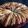 Cooksnap de Chounette sur la recette °Gâteau aux pommes et confiture d'abricots°