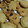 El cooksnap de Bea cuando hizo Galletas crujientes con chips de chocolate.