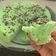 Cooksnap dari Anaa19 untuk resep Bolu Kukus Pandan No Mixer