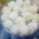 Cooksnap dari Shinta Rachmawati untuk resep Putri Salju