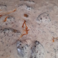 El cooksnap de Llevaba Una Falda cuando hizo Torta helada oreo.