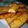 Cooksnap dari fatmawiyah untuk resep Lumpia tahu daging cincang