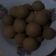 Cooksnap dari ami j untuk resep Tahu Bulat