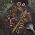 Cooksnap dari Afi Evi untuk resep Cumi saus tiram