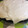 El cooksnap de Mipsiko cuando hizo Tarta guinness.