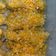 Cooksnap dari Risda Hidayah untuk resep Nugget Ayam (MPASI fingerfood)