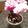 NGA.313's cooksnap of when they made Dirt Pudding.