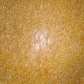 Komal Kewalramani का कुकस्नैप जब उन्होंने तिल गुड़ चिक्की (til gur chikki recipe in Hindi) बनाया था।