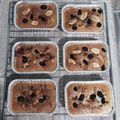 Cooksnap dari LiaLio untuk resep Klappertaart panggang lembut ✨✨✨