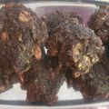 El cooksnap de Daniela Ara cuando hizo Galletitas de harina de coco y de algarroba 🌱3 ing. sin azúcar ni edulcorante ni balanza, ni gluten.