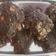 El cooksnap de Daniela Ara cuando hizo Galletitas de harina de coco y de algarroba 🌱3 ing. sin azúcar ni edulcorante ni balanza, ni gluten.