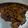 Ekta Rangam Modi's cooksnap of when they made ચોળી બટાકા નું શાક (Chori Bataka Shak Recipe In Gujarati).