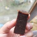 Cooksnap dari Ingki Suharyati untuk resep Lapis belacan