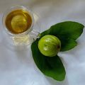 Madhumita Bishnu's cooksnap of when they made পেয়ারা পাতার চা (guava leaf tea recipe in bengali).
