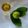 Madhumita Bishnu's cooksnap of when they made পেয়ারা পাতার চা (guava leaf tea recipe in bengali).
