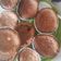 Cooksnap dari Dewi Wulandari untuk resep Nutella Muffin