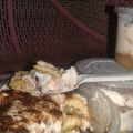Cooksnap dari winceuwin untuk resep Tiramisu simple