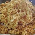 Cooksnap dari Zaskia Cantik untuk resep Kremesan Renyah