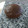 El cooksnap de Silvia Cabezas cuando hizo Muffins Integrales de Chocolate.