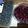 tayoland's cooksnap of when they made Mixed Berry Compote.