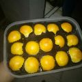 Cooksnap dari lingga untuk resep Nastar Glowing