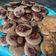 Cooksnap dari Ummi Hanifah Hasan Akil untuk resep Kue Cubit no mixer
