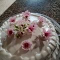 El cooksnap de Cecilia Fontana cuando hizo Merengue para decorar tortas.