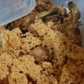 Cooksnap dari Depeha untuk resep Kremesan Super Renyah dan Bersarang Anti Gagal