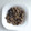 El cooksnap de MaryGlory cuando hizo Habitas con cebolla y morcillas.