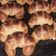 صورة من راجية، شاركها بعد تجربة وصفة كرواسون 🥐🥐 بطريقة El amira