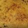 srishti mittal का कुकस्नैप जब उन्होंने मक्का के आटे का मूली भरा पराठा (makke ke aate ka mooli bhara paratha recipe in Hindi) बनाया था।