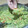 El cooksnap de Lorena Bertoni 😋 cuando hizo Guacamole...la más rica.