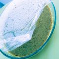 Kei's cooksnap of when they made Matcha Green Tea Brownies.