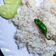 Vani Gupta का कुकस्नैप जब उन्होंने दही चावल (dahi chawal recipe in Hindi) बनाया था।