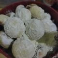 Cooksnap dari Adhe Febiyanti untuk resep Cookies Susu Dancow