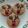 El cooksnap de minicocinera cuando hizo Galletitas navideñas de un renito (sin horno).